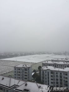 上海南汇万祥镇下起了2018年的第一场雪